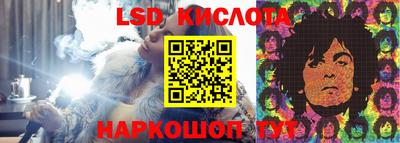 стафф Владимир