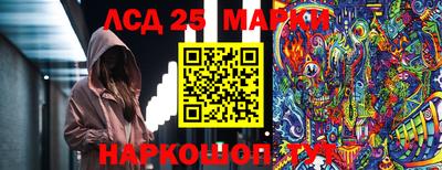 стафф Владимир
