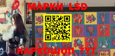 Альфа ПВП Владикавказ