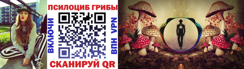 Галлюциногенные грибы Psilocybine cubensis  Дагестанские Огни 