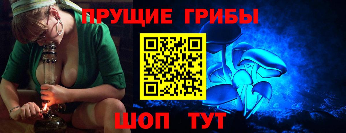 Галлюциногенные грибы Psilocybine cubensis Дагестанские Огни